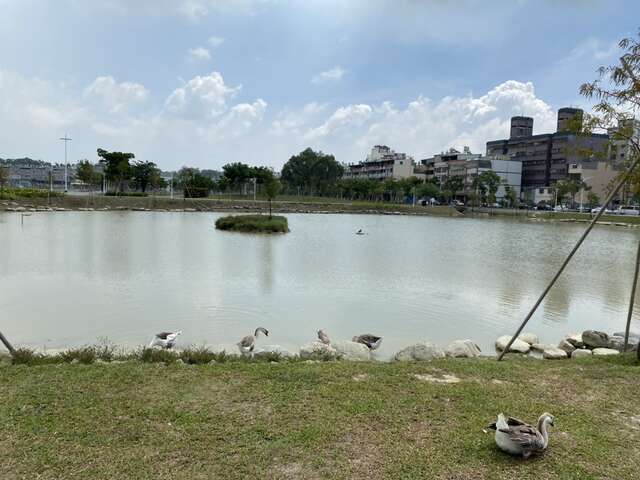 華山街廣場搭配生態池打造湖畔景觀(小港區公所提供)