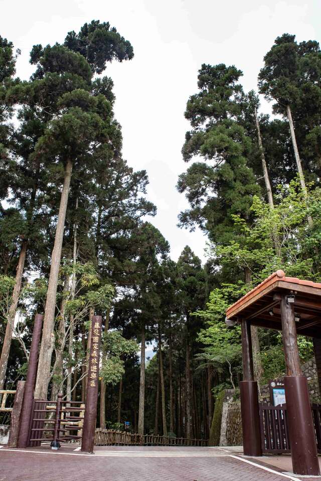 藤枝國家森林遊樂區大門入口