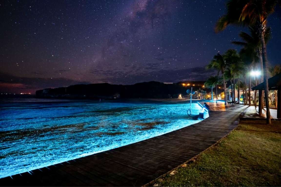 圖3.夜晚的旗津炫麗繽紛,盛夏當中來一杯啤酒最對味。