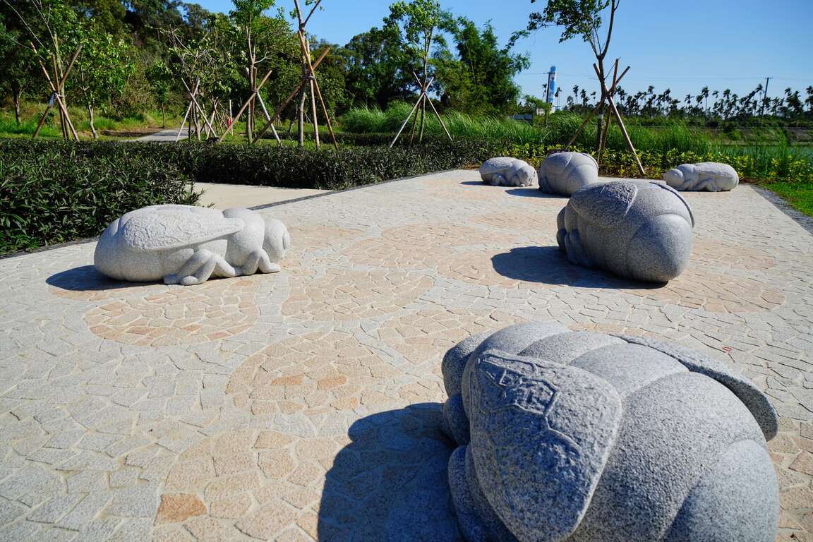 照片3.水花园湿地利用观音湖高滩地种植原生种水生植物