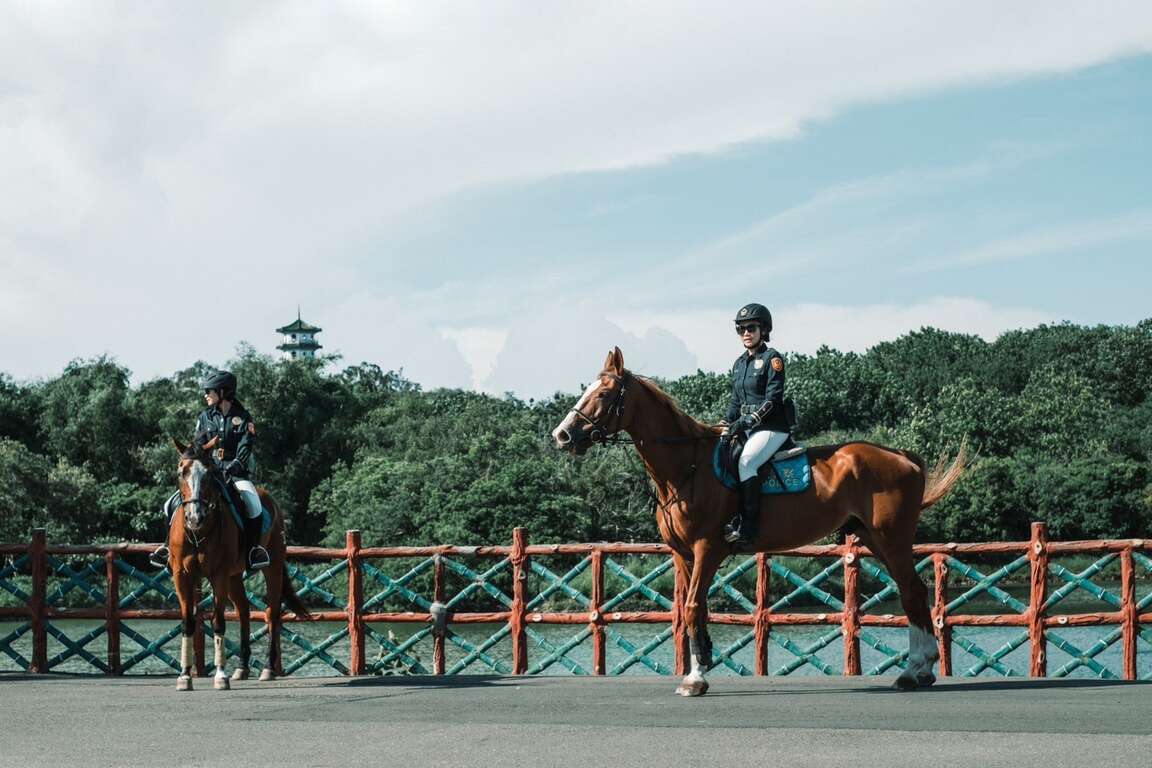 Figure 5. Police Tourism Mounted Unit (Photo Credit: © 2025 Chun Shui Studio)