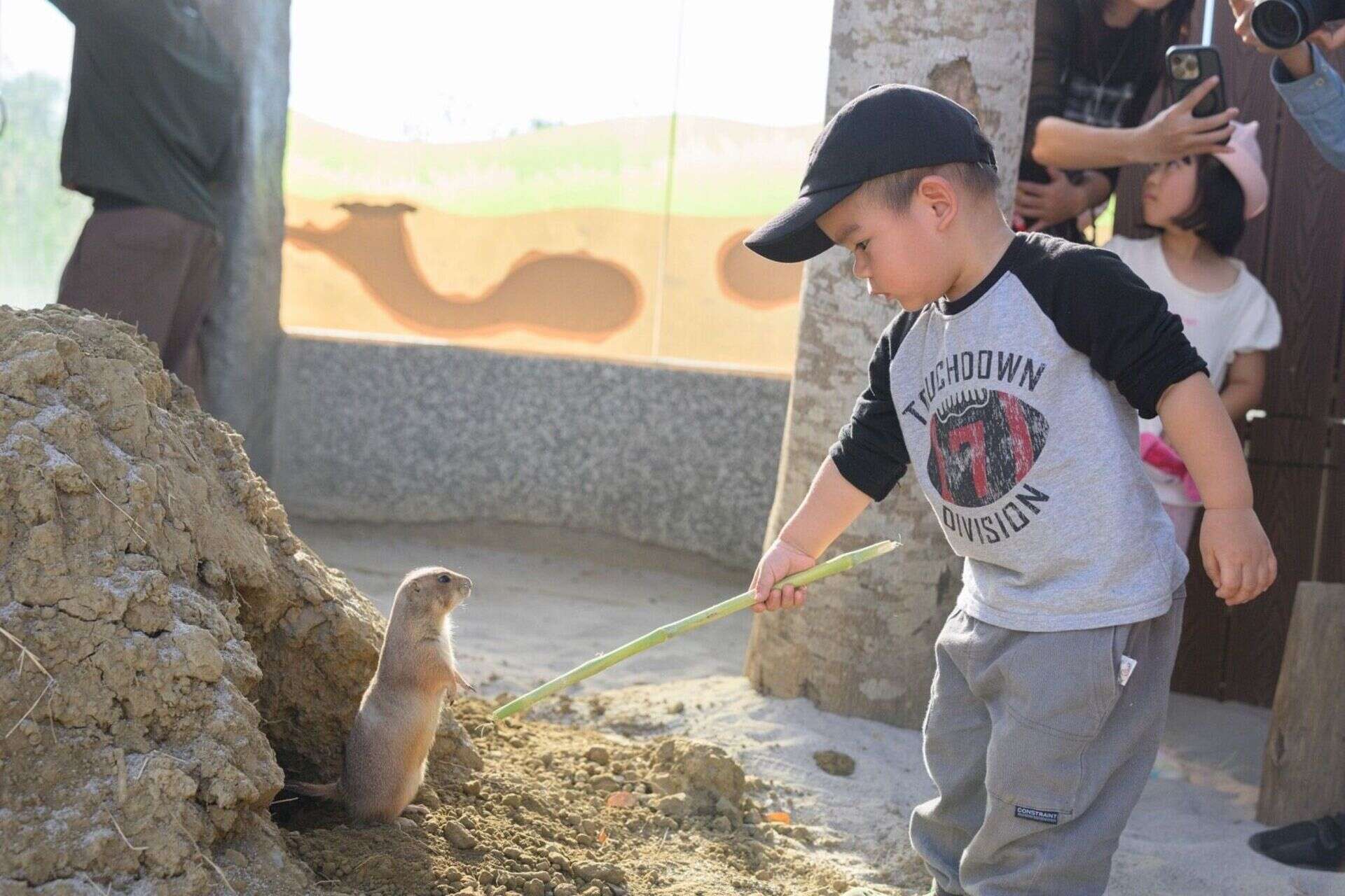 圖12 .在園區與迷你羊等溫馴可愛的動物們互動