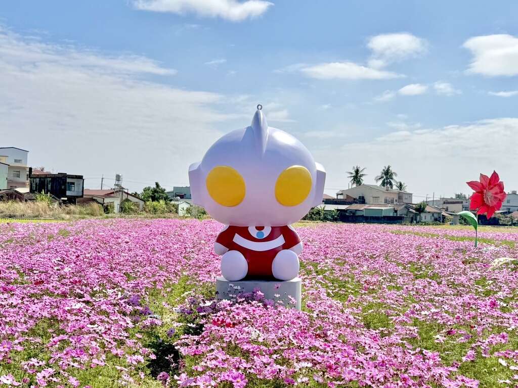 圖7、初代超人力霸王現身於美濃花海。