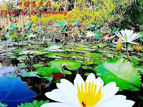 42 川雅居