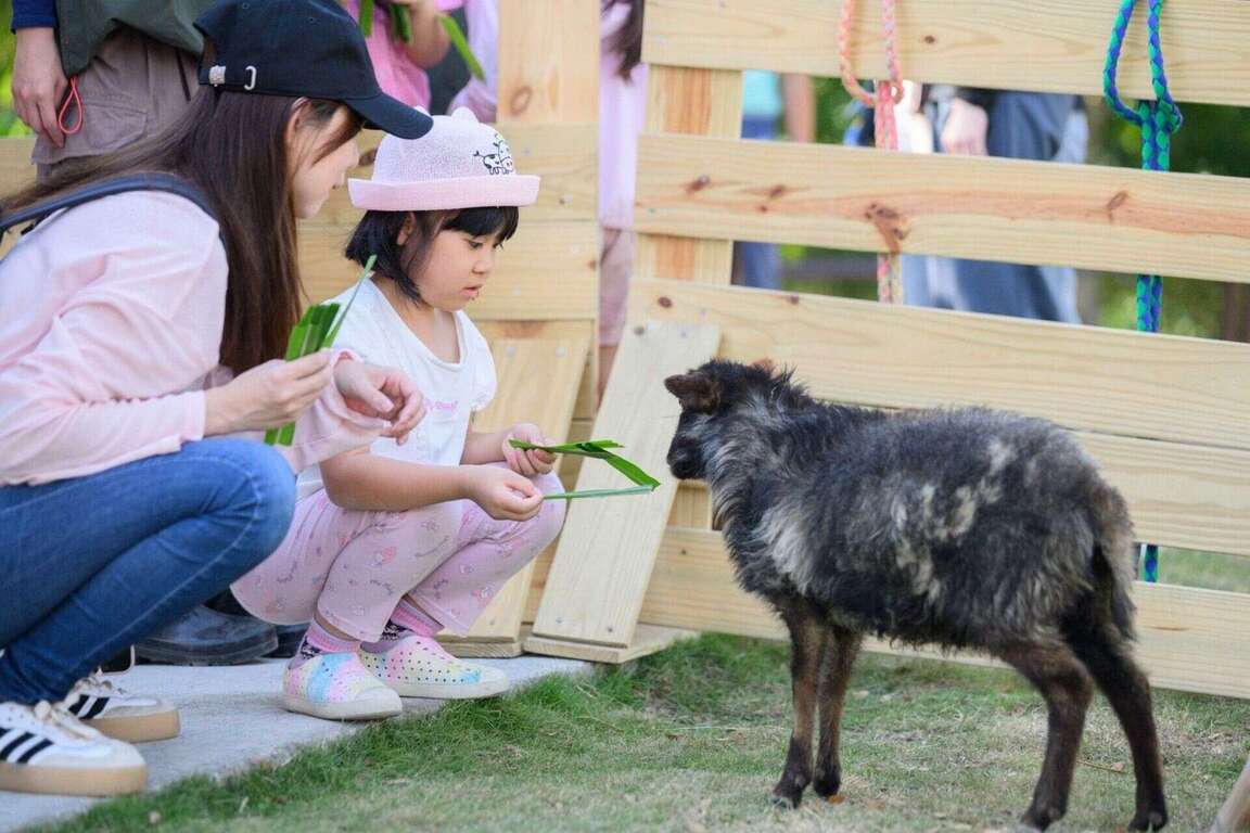 圖5.春節安排適合親子同遊的內門「野森動物學校」