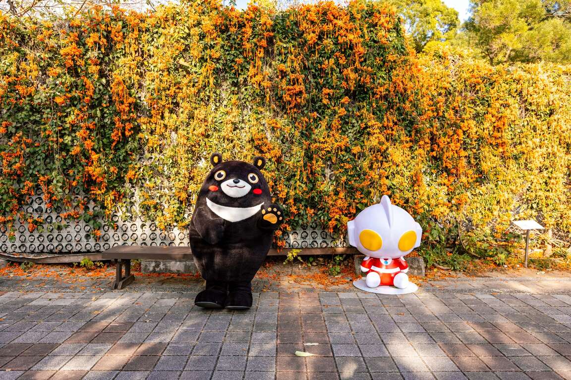 圖5.市區多處景點超吸睛的Q版超人力霸王公仔驚喜出沒。