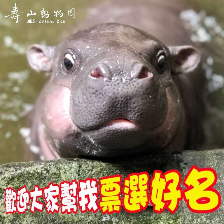 272075