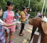 New Ways to Spend a Fun Summer at Shoushan Zoo Highly Recommended New Experience of Sleepover, Tree Climbing and Animal Feeding
