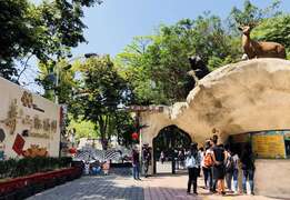 Enjoy Free Admission to Shou Shan Zoo, Cijin Shell Museum, and Siaogangshan Skywalk Park from October 1, 2020 to the End of the Year! 