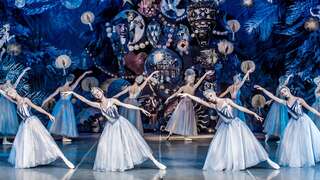 莫斯科古典芭蕾舞团