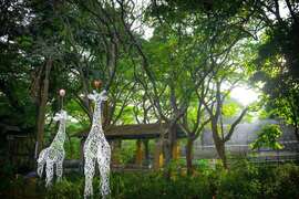 寿山动物园麋鹿造型艺术作装置