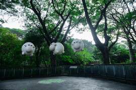 壽山動物園「動物山友會」可愛綿羊藝術作品