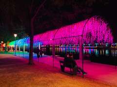 高雄市府觀光局除了打造線上虛擬燈會，也於愛河沿岸(高雄橋至中正橋)以及愛河之心周邊布置美麗燈飾。