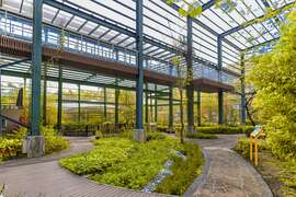 金狮湖蝴蝶园是全台最大的温室蝴蝶园