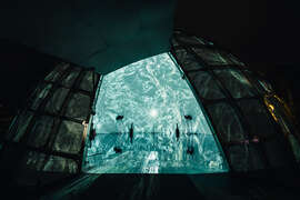 ２_高美館與C-LAB合作「FUTURE VISION LAB」@台灣燈會，高解析影音空間「DOME」打造360度沉浸式體驗。（攝影：林軒朗）