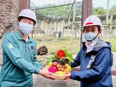 林副市长致赠红毛猩猩加菜礼-2