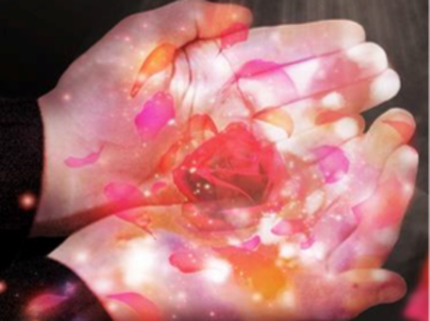 花御洗