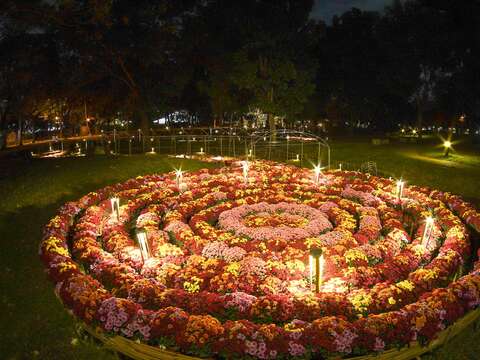 《菊花夜行军 100米花廊光谱》夜间美景