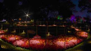 《菊花夜行军 100米花廊光谱》夜景