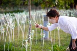 台湾灯会卫武营灯区人气作品「植光・花」