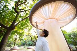 台湾灯会卫武营灯区作品「奇蘑．幻境」