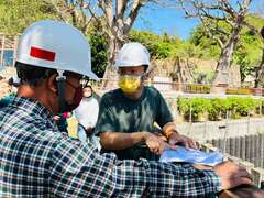 树木诊察团队研商建议方案