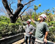森林城市协会庄杰任理事长与团队至寿山动物园进行树木诊察-2