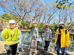 森林城市协会庄杰任理事长与团队至寿山动物园进行树木诊察-1