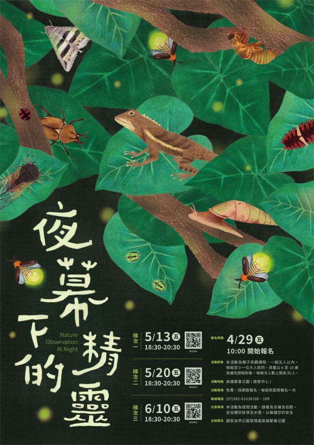 夜幕下的精灵