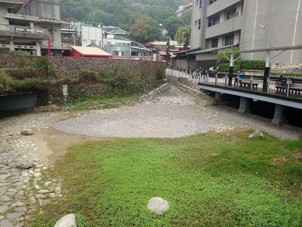 龙岩冽泉经过去年整治,逐步生机盎然的景象