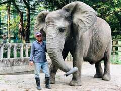 「大象爸爸」張永興保育員與阿里情如父女