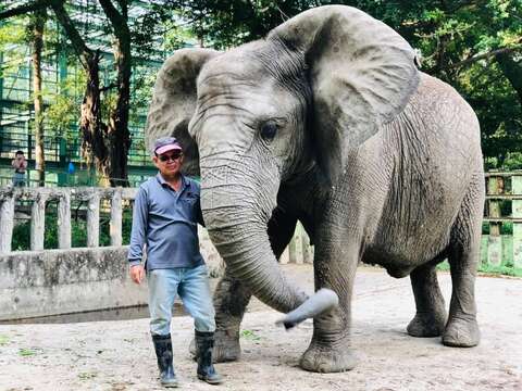 「大象爸爸」張永興保育員與阿里情如父女