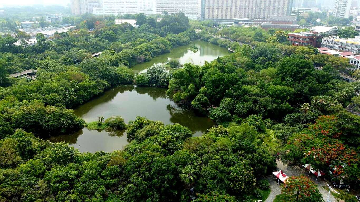 鸟松湿地是台湾首座以人工湿地为主题的教育公园,堪称都市「绿色珍珠」
