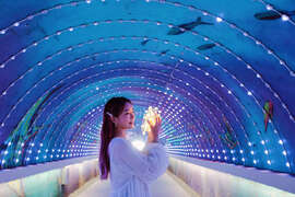 圖1.旗津星空隧道，讓海浪的聲音訴說你的愛語。