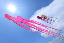 精彩風箏展演，在旗津天空壯麗又絢爛