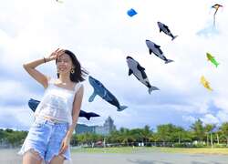 民眾搶搭韓劇非常律師熱潮來旗津拍鯨魚風箏
