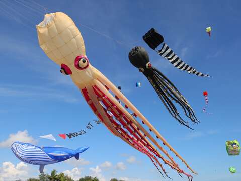 兩天活動放飛不同造型的風箏，將旗津天空點綴的繽紛絢麗