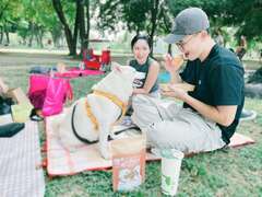 图十 现场民众开心野营连家中毛小孩都来参加