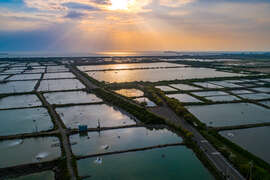 圖5.永安濕地風光明媚