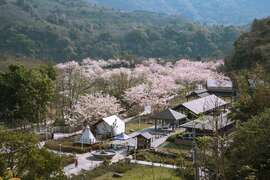 1.宝来花赏温泉公园是一座位於台地的秘密花园