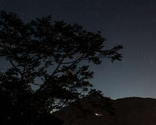 3.那玛夏夜晚星空(照片出处_外国人在台湾-安德镜头下的世界)