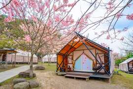 图4.入住远山望月温泉风吕露营场奢华帐篷或露营车送限量好礼