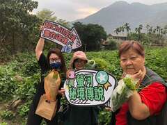 5.游客到那玛夏采摘龙须菜体验