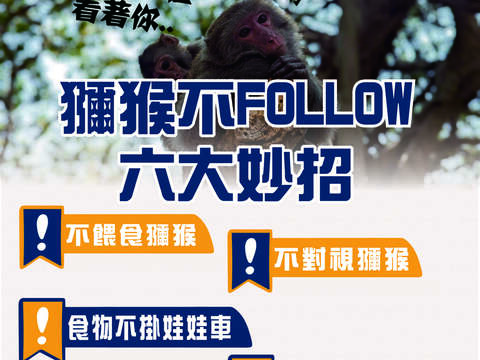 图6 猕猴不FOLLOW 6大妙招宣导图卡