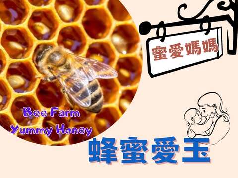 月世界游客中心-蜂蜜爱玉DIY活动