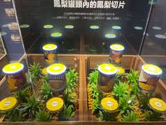 圖十、台灣鳳梨工場，認識大樹鳳梨全盛時期製作鳳梨罐頭的歷史故事