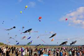 圖2旗津風箏節將於7月22日絢麗登場