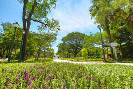 07.金獅湖風景區親子花園，不同的觀葉及開花植物搭配地景進行栽植層次變化，豐富整體空間層次色彩jpg
