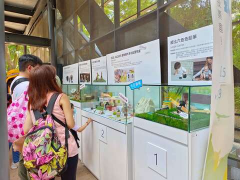 图8 游客参观票选作品