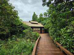 4.鸟松湿地赏鸟小屋位置静谧，周围生态丰富
